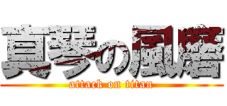 真琴の風磨 (attack on titan)