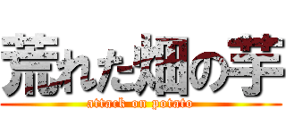 荒れた畑の芋 (attack on potato)