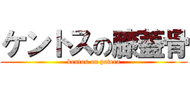 ケントスの膝蓋骨 (kentos on patera)