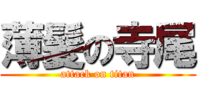 薄髪の寺尾 (attack on titan)