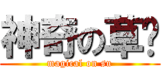 神奇の草肃 (magical on su)