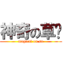 神奇の草肃 (magical on su)