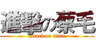 進擊の蔡毛 (attack on titan)