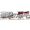 進擊の蔡毛 (attack on titan)