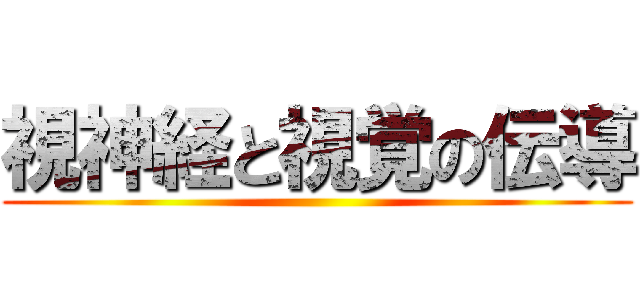 視神経と視覚の伝導 ()