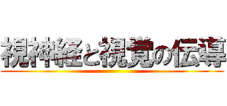 視神経と視覚の伝導 ()