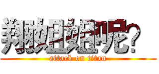 翔姐姐呢？ (attack on titan)
