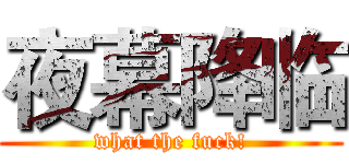 夜幕降临 (what the fuck!)