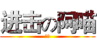 进击の阿喵 (阿喵)