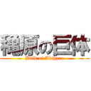 穐原の巨体 (Bulk of Akihara)