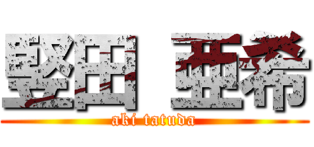 竪田 亜希 (aki tatuda)