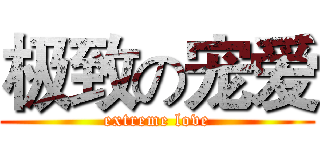 极致の宠爱 (extreme love)