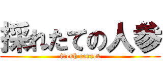 採れたての人参 (fresh carrot)