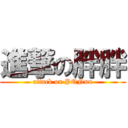 進撃の胖胖 (attack on PONnn)