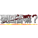 要回答嘛？ (attack on titan)