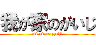 我が家のがいじ (attack on gaiji)