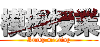 模擬授業 (Study meeting)