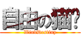 自由の猫咪 (WindDestiny)