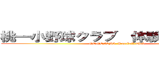 桃一小野球クラブ  体験会のお知らせ (MOMOICHI  Baseball Club)