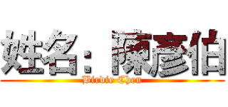 姓名：陳彥伯 (Birdie Chen)