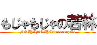 もじゃもじゃの若林 (MOZYAMOZYA　　wakabayasi)