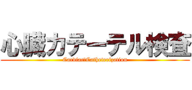 心臓カテーテル検査 (Cardiac　Catheterization)