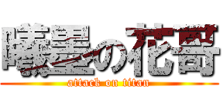 曦墨の花哥 (attack on titan)