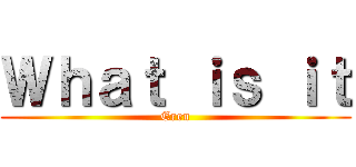 Ｗｈａｔ ｉｓ ｉｔ (Eren)