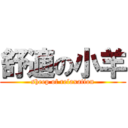 舒適の小羊 (sheep of relaxation)