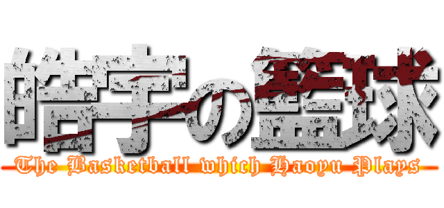 皓宇の籃球 (The Basketball which Haoyu Plays)