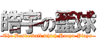 皓宇の籃球 (The Basketball which Haoyu Plays)