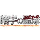 皓宇の籃球 (The Basketball which Haoyu Plays)