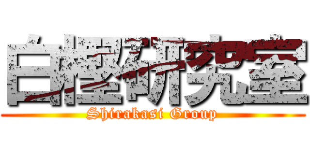 白樫研究室 (Shirakasi Group)