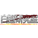 白樫研究室 (Shirakasi Group)