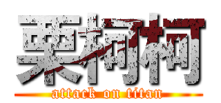 栗柯柯 (attack on titan)