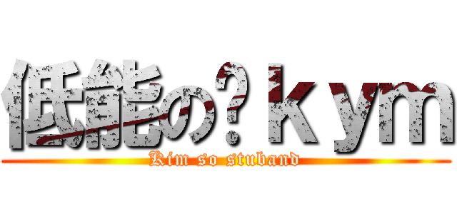 低能の傻ｋｙｍ (Kim so stuband)