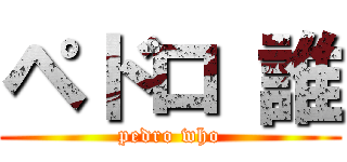 ペドロ 誰 (pedro who)