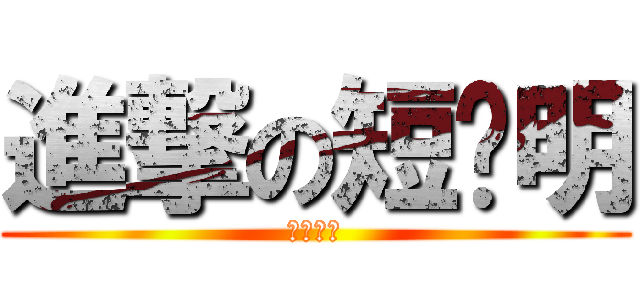 進撃の短腳明 (肥胖系列)