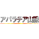 アパラチア山脈 (高いよ！)