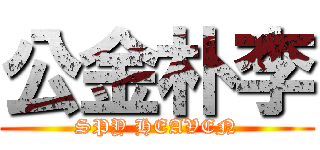 公金朴李 (SPY HEAVEN)