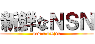 新鮮なＮＳＮ (new a nishin)