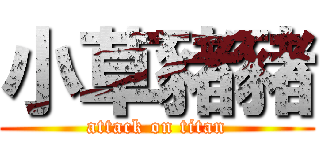 小草豬豬 (attack on titan)