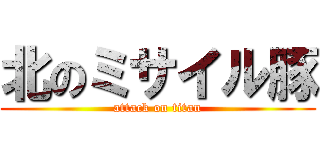 北のミサイル豚 (attack on titan)