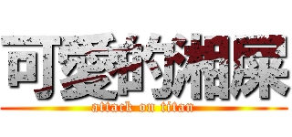 可愛的湘屎 (attack on titan)