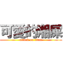 可愛的湘屎 (attack on titan)