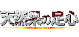 天然呆の足心 (attack on titan)