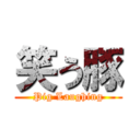 笑う豚 (Pig Laughing)