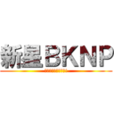 新星ＢＫＮＰ (さあ、漫画を作ろう!)