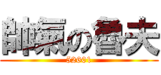 帥氣の魯夫 (52601)