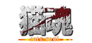 猫魂 (cats soul)